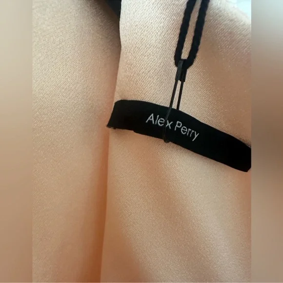 NWT Alex Perry nude sequin long sleeve midi cocktail dress US 6 $2750 Retail - Picture 12 of 13